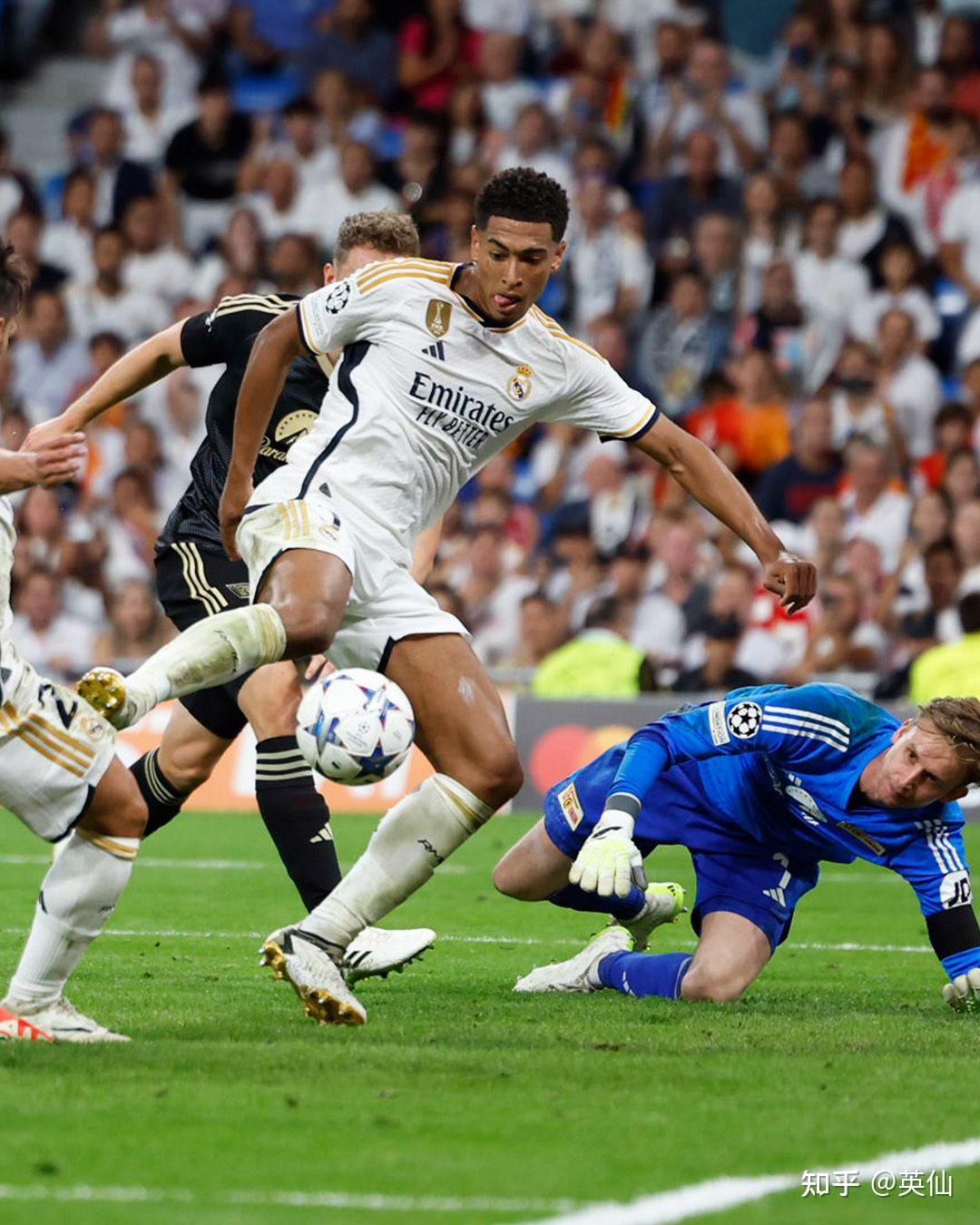 了职业生涯 了职业生涯